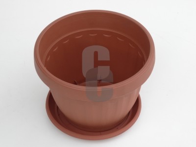 Нови предложения Саксия Ребро 25                                                                                                                                                                                                                                                                                             